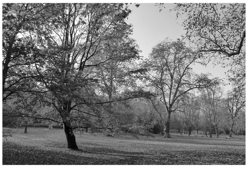 Kurpark, Wiesbaden, 2012